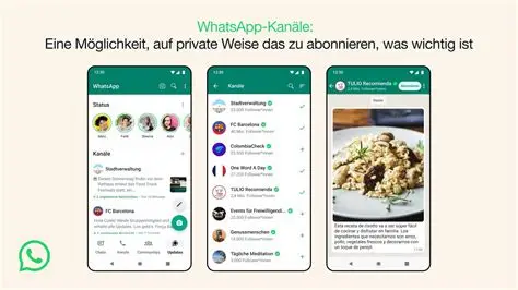 whatsapp登陆登陆不上去怎么办？常见原因与解决方案大全